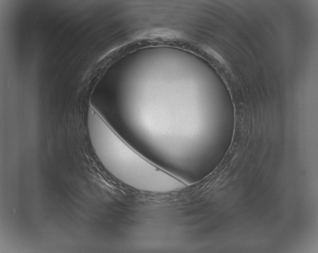 X0000075831112200609150839