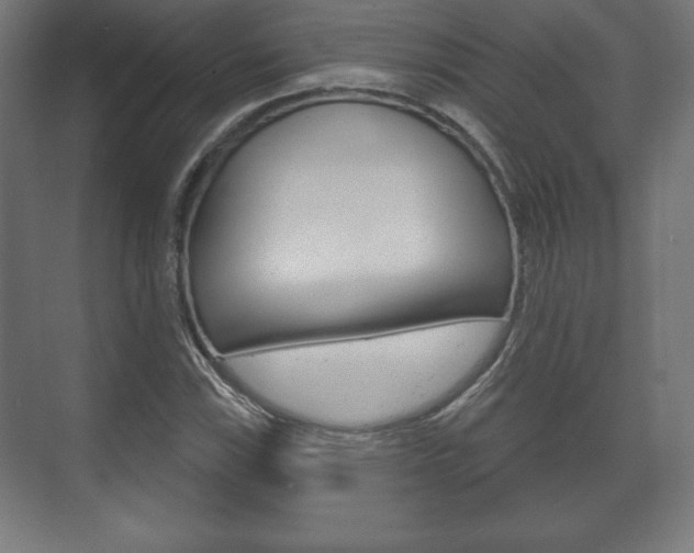 X0000075831115200609150839