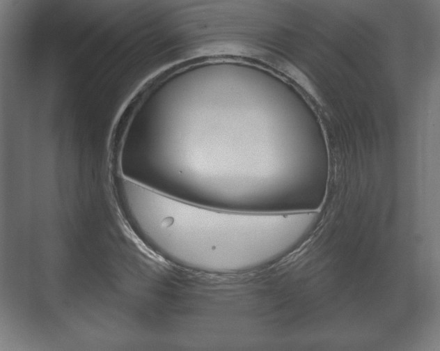 X0000075831116200609150839