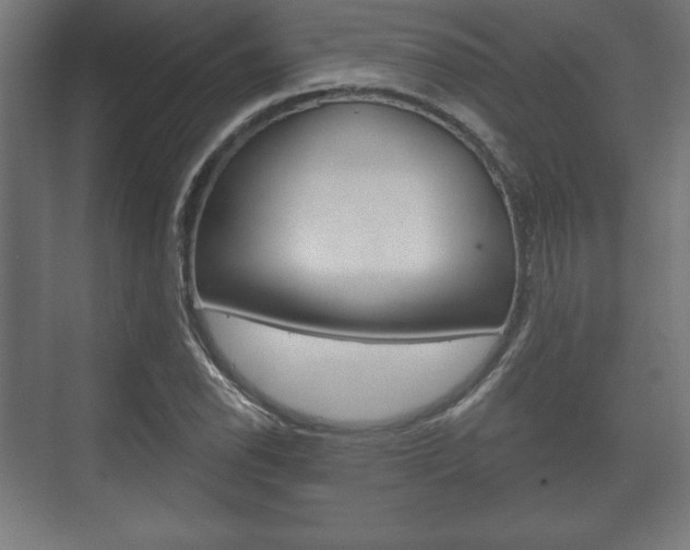 X0000075831118200609150839