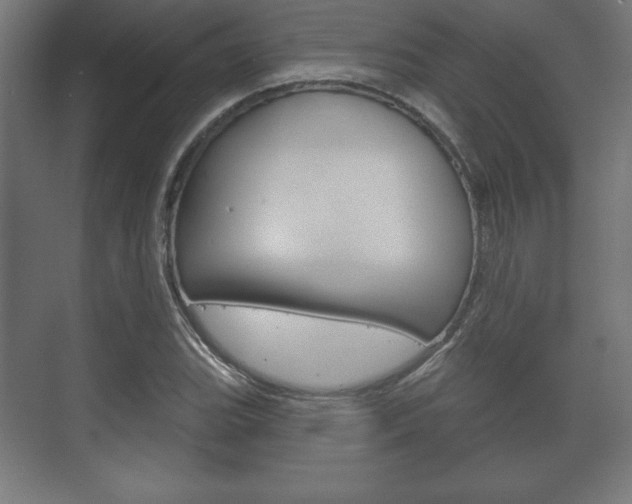 X0000075831119200609150839