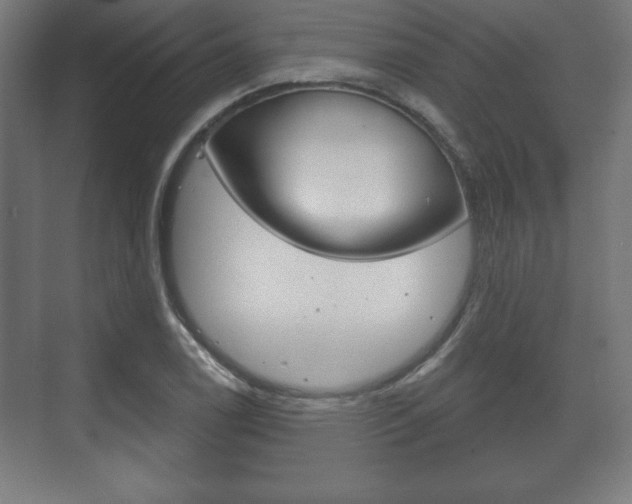 X0000075831122200609150839