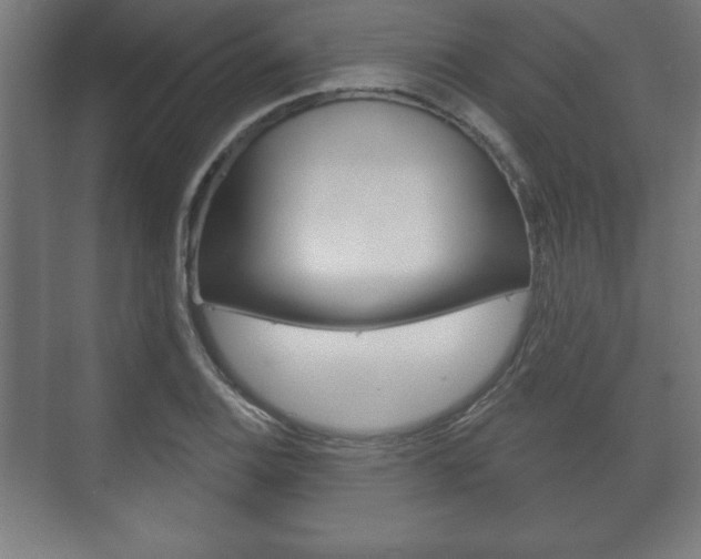X0000075831124200609150839