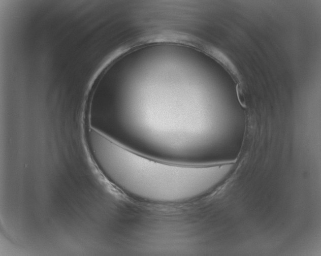 X0000075831138200609150839