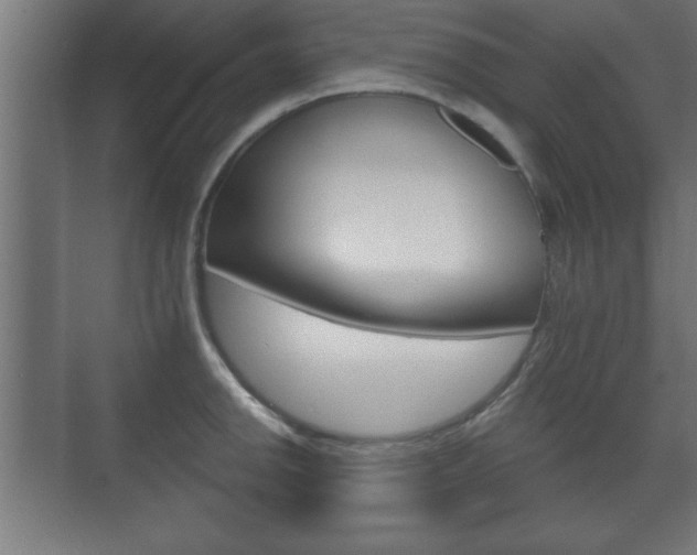 X0000075831142200609150839