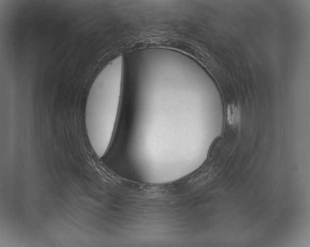 X0000075831155200609150838