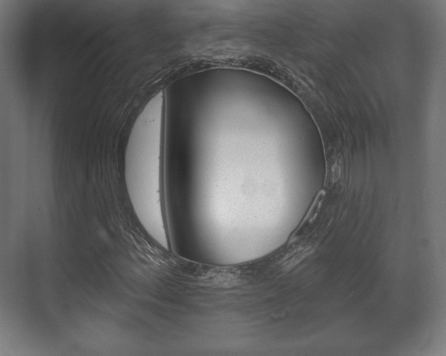 X0000075831156200609150838