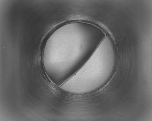 X0000075831167200609150838
