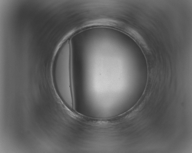 X0000075831180200609150838