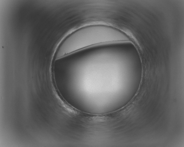 X0000075831181200609150838