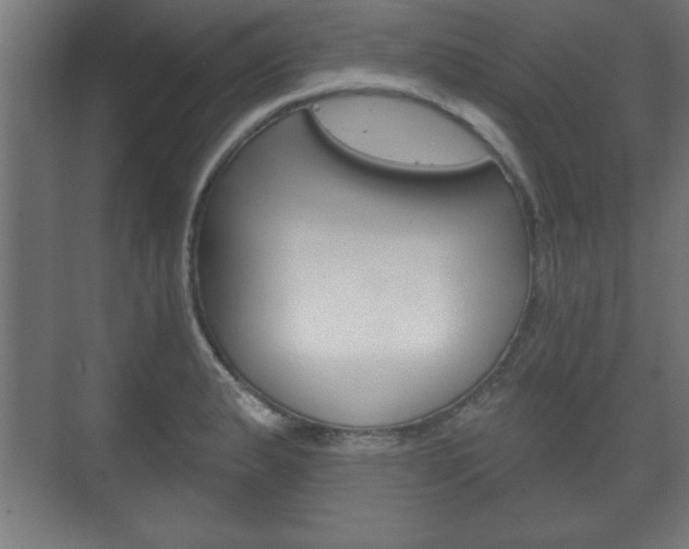 X0000075831183200609150838