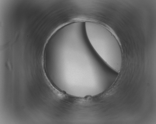 X0000075831195200609150838