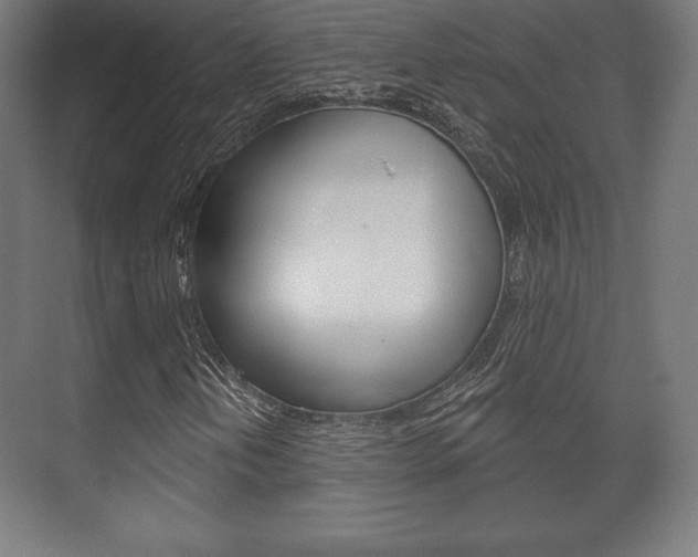 X0000075831202200609150837