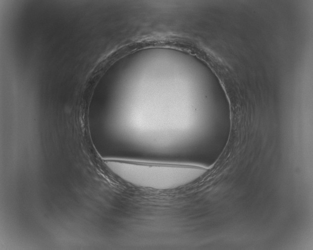 X0000075831206200609150837