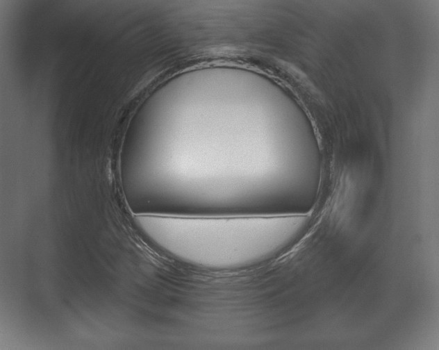 X0000075831209200609150837