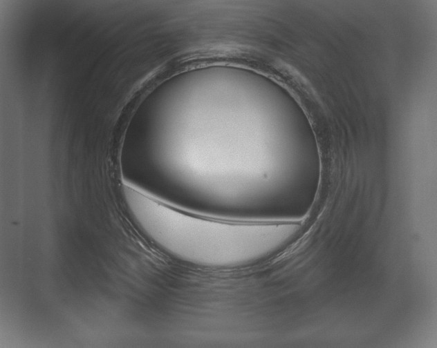 X0000075831210200609150837