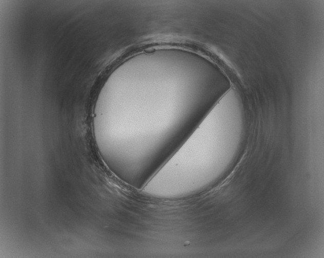 X0000075831213200609150837