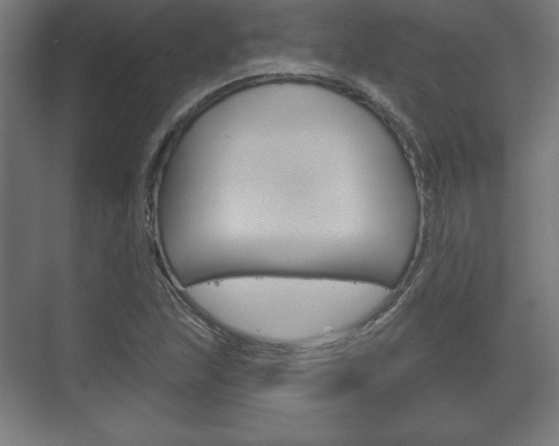 X0000075831215200609150837