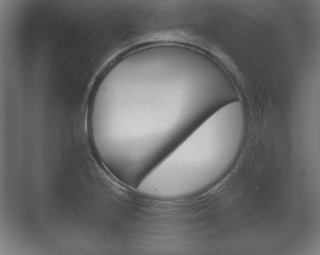 X0000075831224200609150837