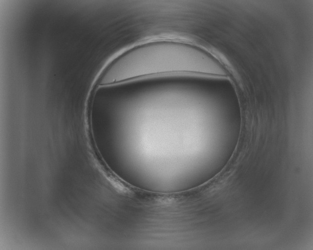 X0000075831230200609150837