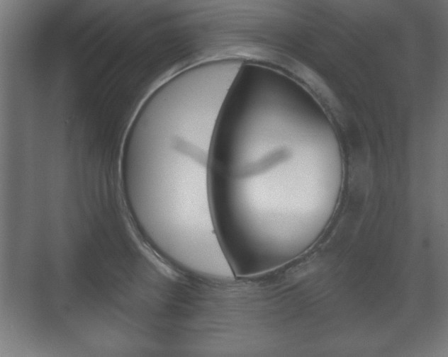 X0000075831234200609150837