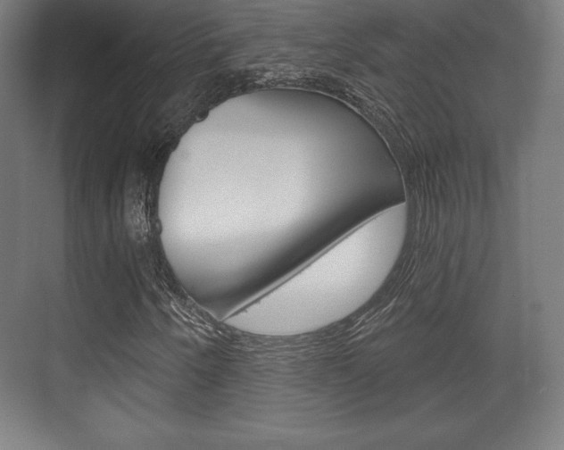 X0000075831250200609150837