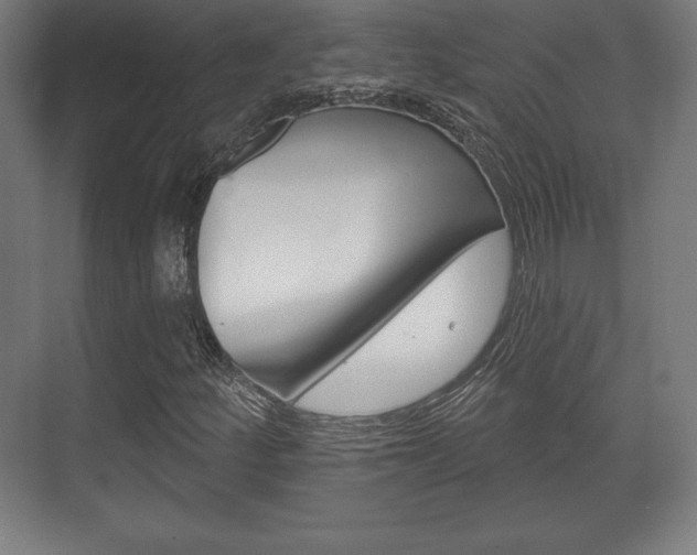 X0000075831252200609150837