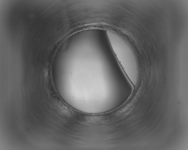 X0000075831257200609150837