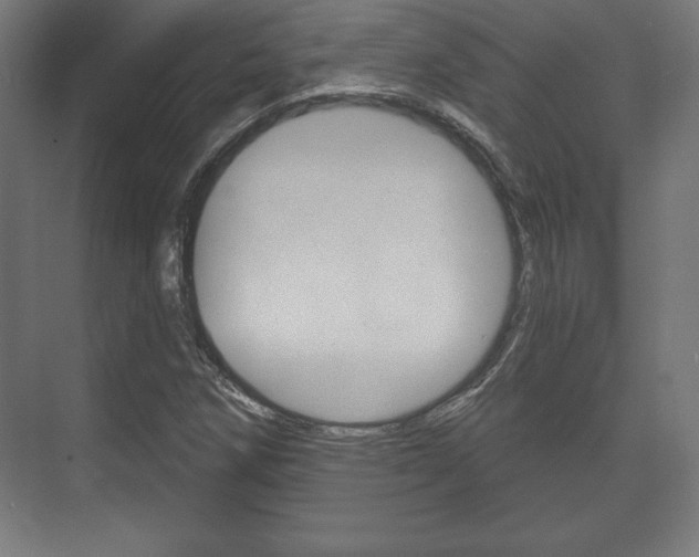 X0000075831258200609150837