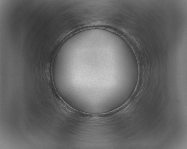 X0000075831265200609150837