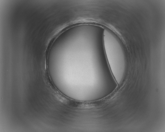 X0000075831269200609150836