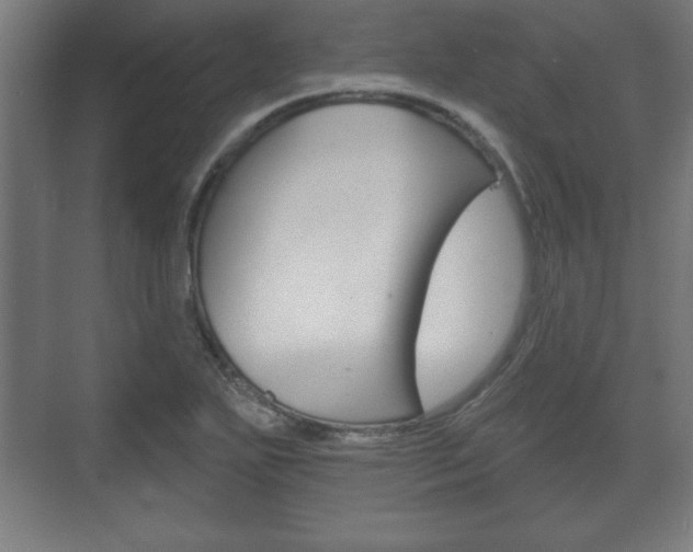 X0000075831271200609150836