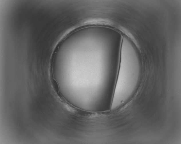 X0000075831277200609150836