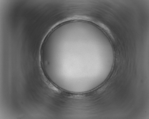 X0000075831280200609150836