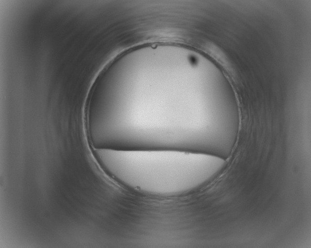 X0000075831283200609150836