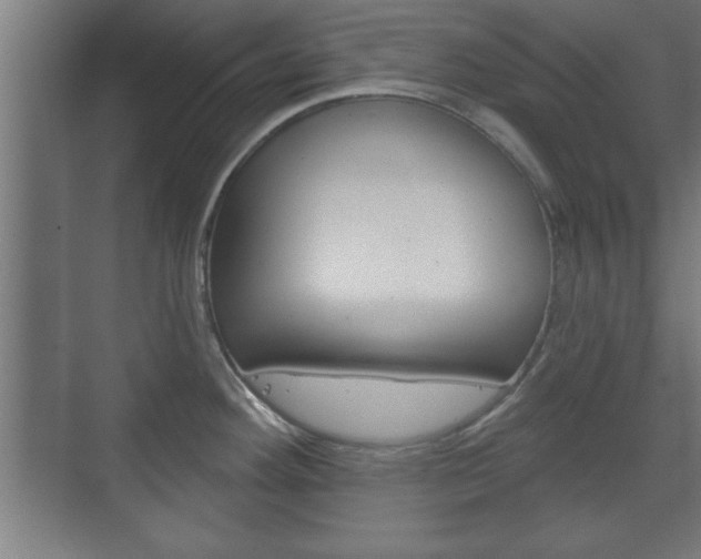 X0000075831292200609150836