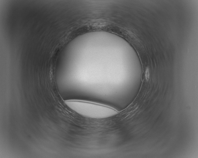 X0000075831299200609150835