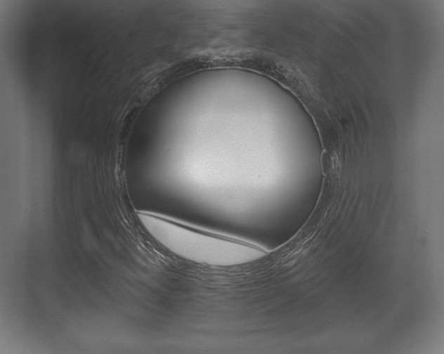 X0000075831300200609150835