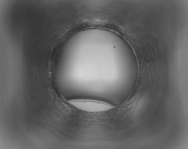 X0000075831301200609150835
