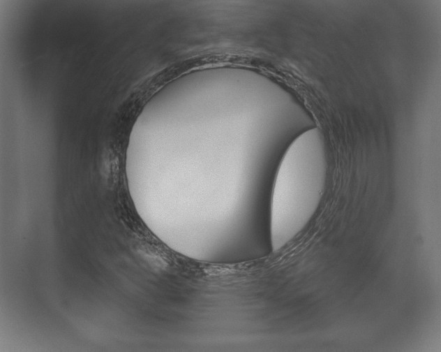 X0000075831302200609150835