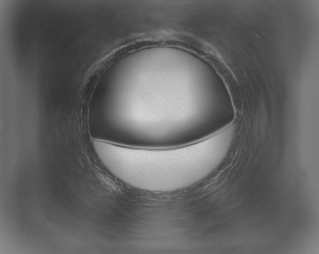 X0000075831304200609150835
