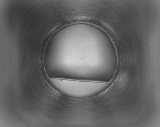 X0000075831305200609150835