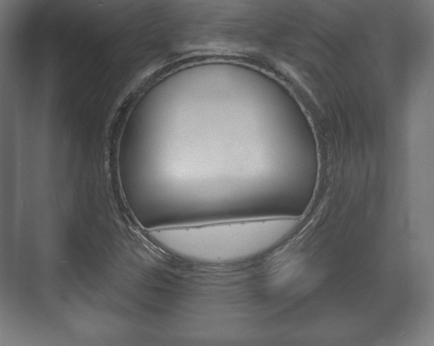 X0000075831307200609150835
