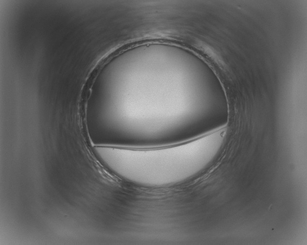 X0000075831308200609150835