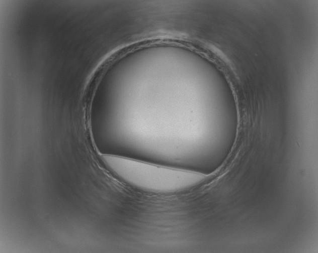 X0000075831310200609150835