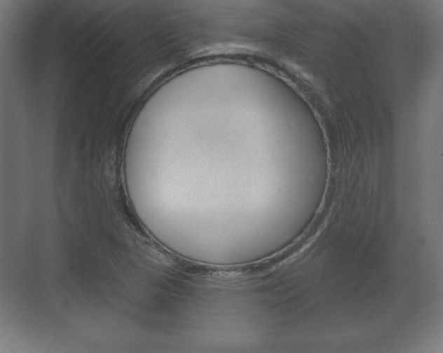 X0000075831313200609150835
