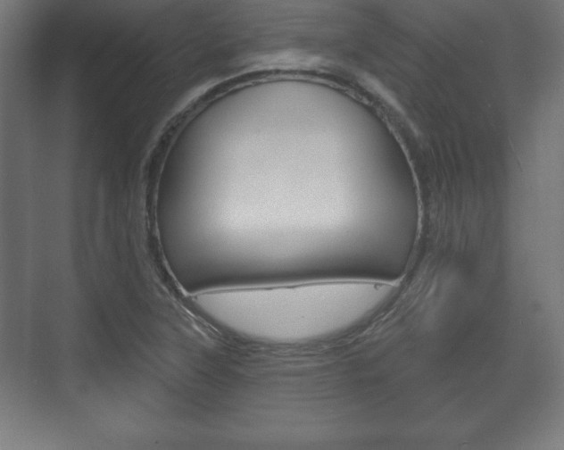 X0000075831315200609150836
