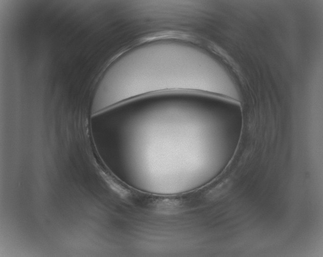 X0000075831321200609150836