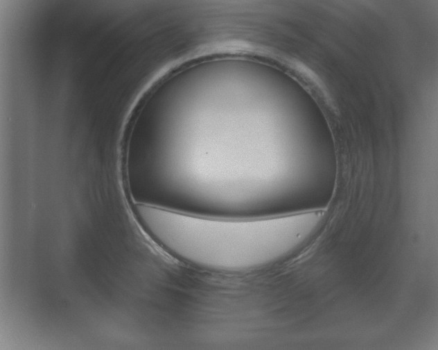 X0000075831326200609150836
