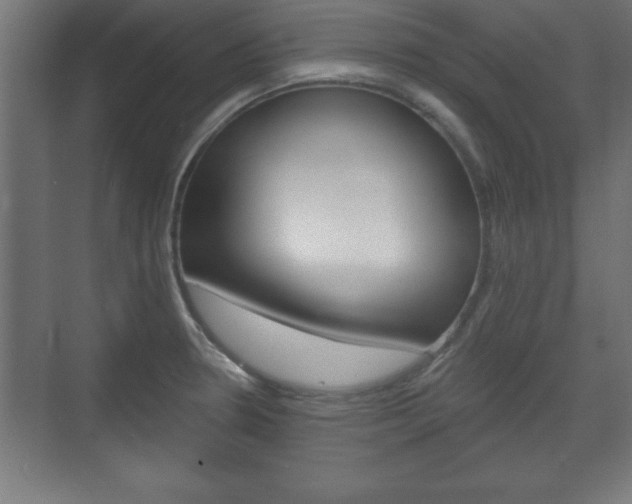X0000075831330200609150836